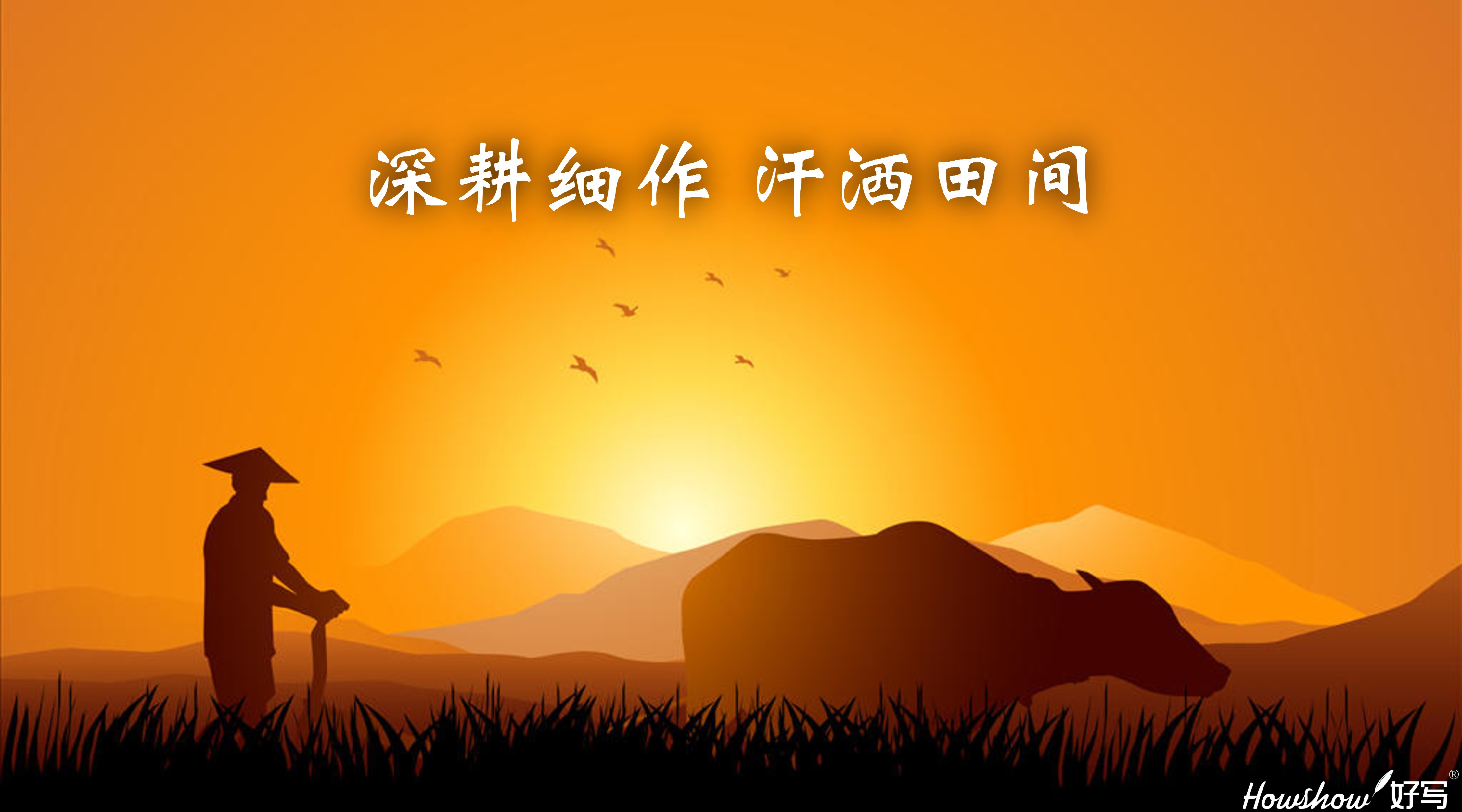 深耕細作·汗灑田間 ‖ 一場從內到外的革新，正在好寫拉開帷幕！
